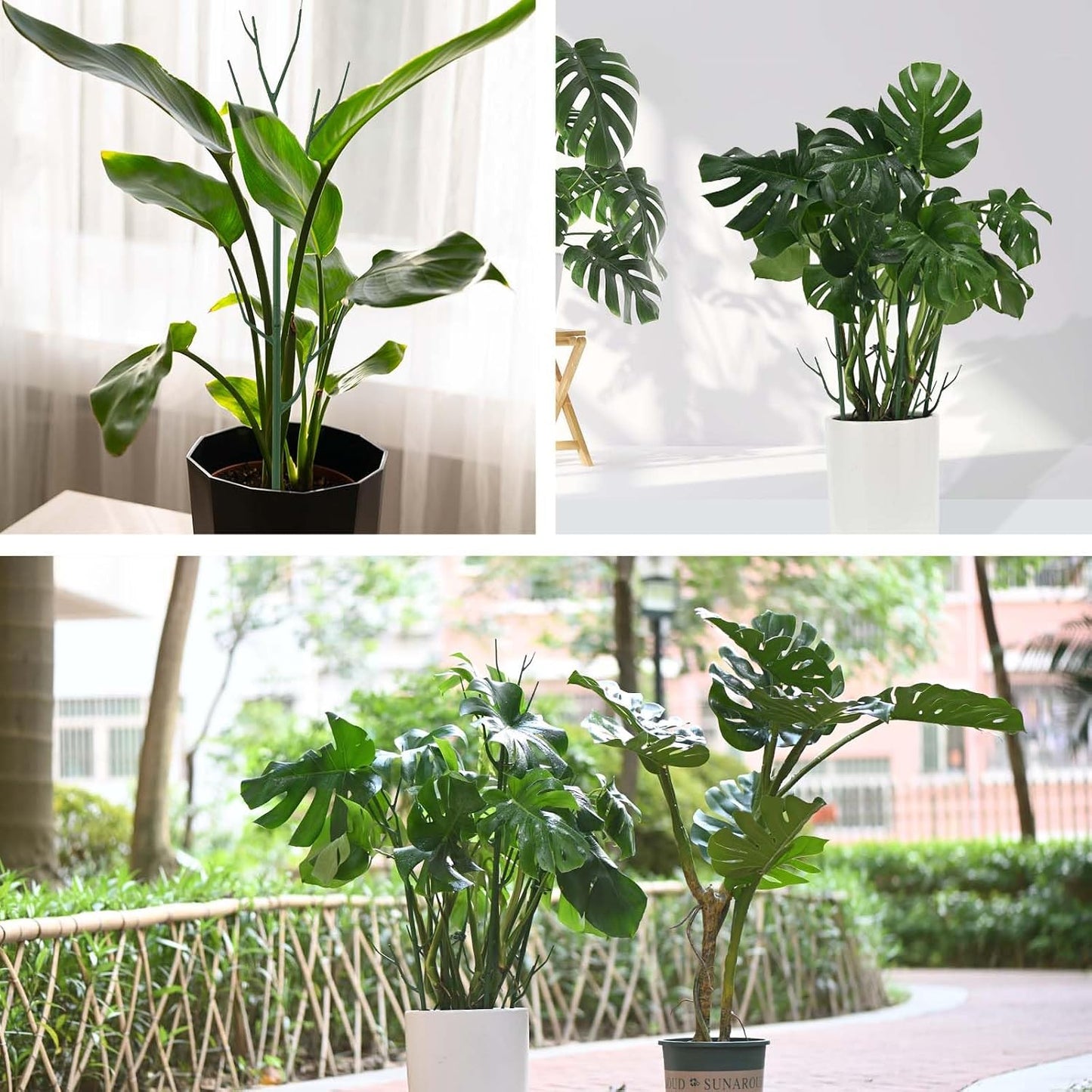 Yhtpouqe 12 Pack Plant Support Stakes, Plant Stakes for Indoor and Outdoor Plants. 39.37inch Plant Sticks with Extension Poles, Plant Clips, Plant Ties for Potted Monstera Plants, Climbing Plants