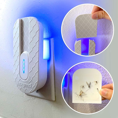 BugMD No Buzz Zone Fruit Fly Traps for Indoors with Honey Scent Bait & UV Light – Gnat Traps for House Indoor, Plug in Fly Trap Indoor, Bug Zapper Alternative, Mosquito Trap for Home