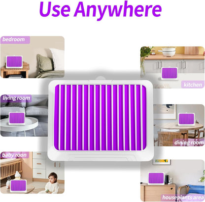 Fruit Fly Traps for Indoors - Indoor Fly Trap, Plug-in Bug Light Catcher with UV and Blue Light,Gnats, Mosquitoes, Flies, Moths,House Flies - Fly Traps Indoor for Home-400 Sq Ft of Protection