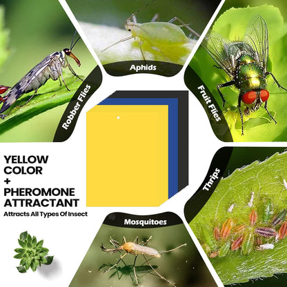 Qualirey 150 Pcs 6x8 Inch Yellow Sticky Traps for Gnats, Dual-Sided Sticky Gnat Traps for Indoor Outdoor Plants, Pest Control for Fungus Gnats, Fruit Flies, Whiteflies – Bulk Pack with Twist Ties