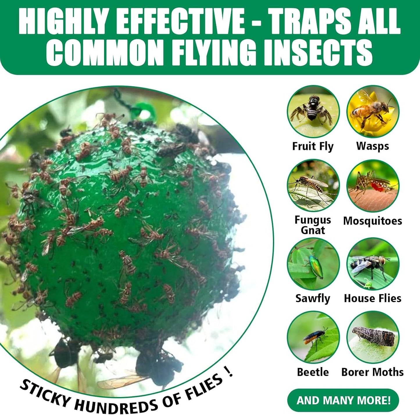 Sticky Insect Trap Ball Osseph Fruit Fly Trap Balls for Indoor Outdoor | Physical Sticky Hanging Bug Ball Catches Flie Gnat Mosquitoe Flying Insects 6pack (Green)