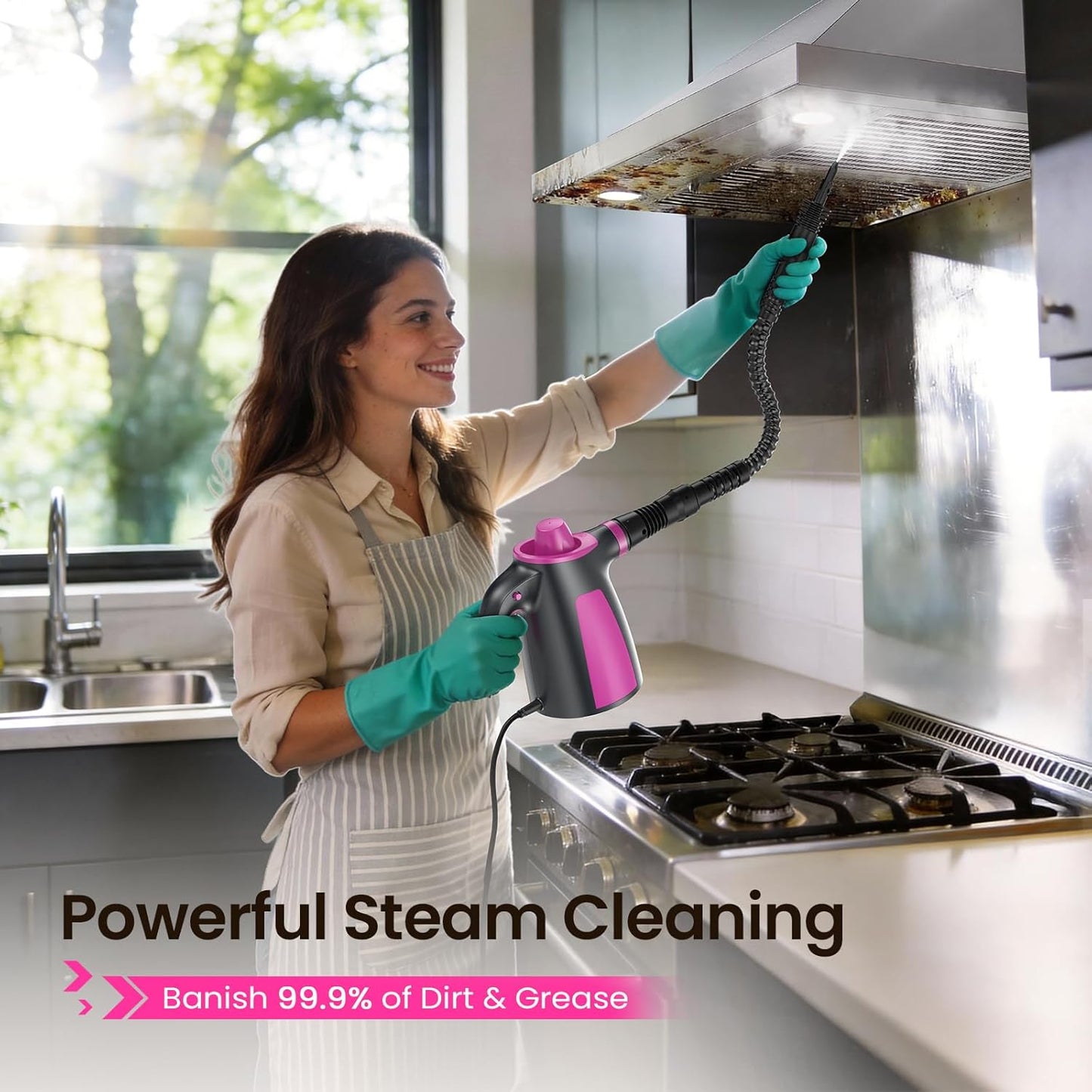 Electric Scrubber, Steam Cleaner