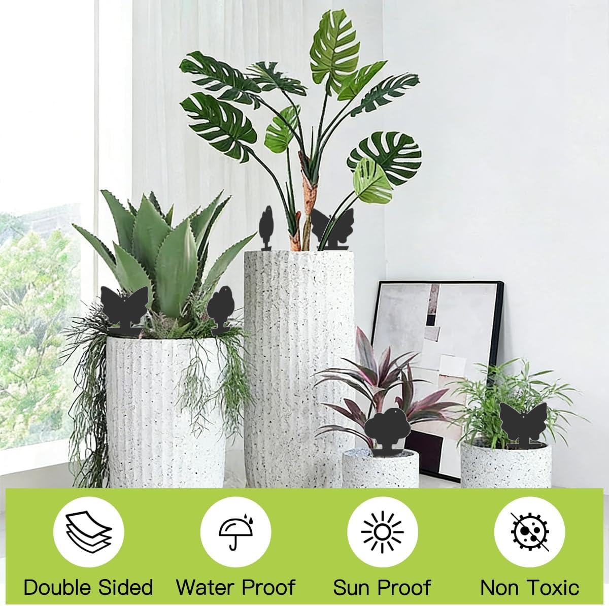 36 Pcs Sticky Traps for Fungus Gnat, Fruit Fly, Whitefly, Yellow | Indoor/Outdoor Use, For Plants & Kitchen, High-End Glue, Insect Catcher