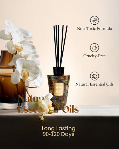 M&SENSE Reed Diffuser Set, Jasmine Sandalwood Scented 6.3 fl oz Natural Essential Oil Diffusers with Sticks, Non-Toxic Organic Air Freshener, Long-Lasting Fragrance Oils for Home Bathroom Living Room