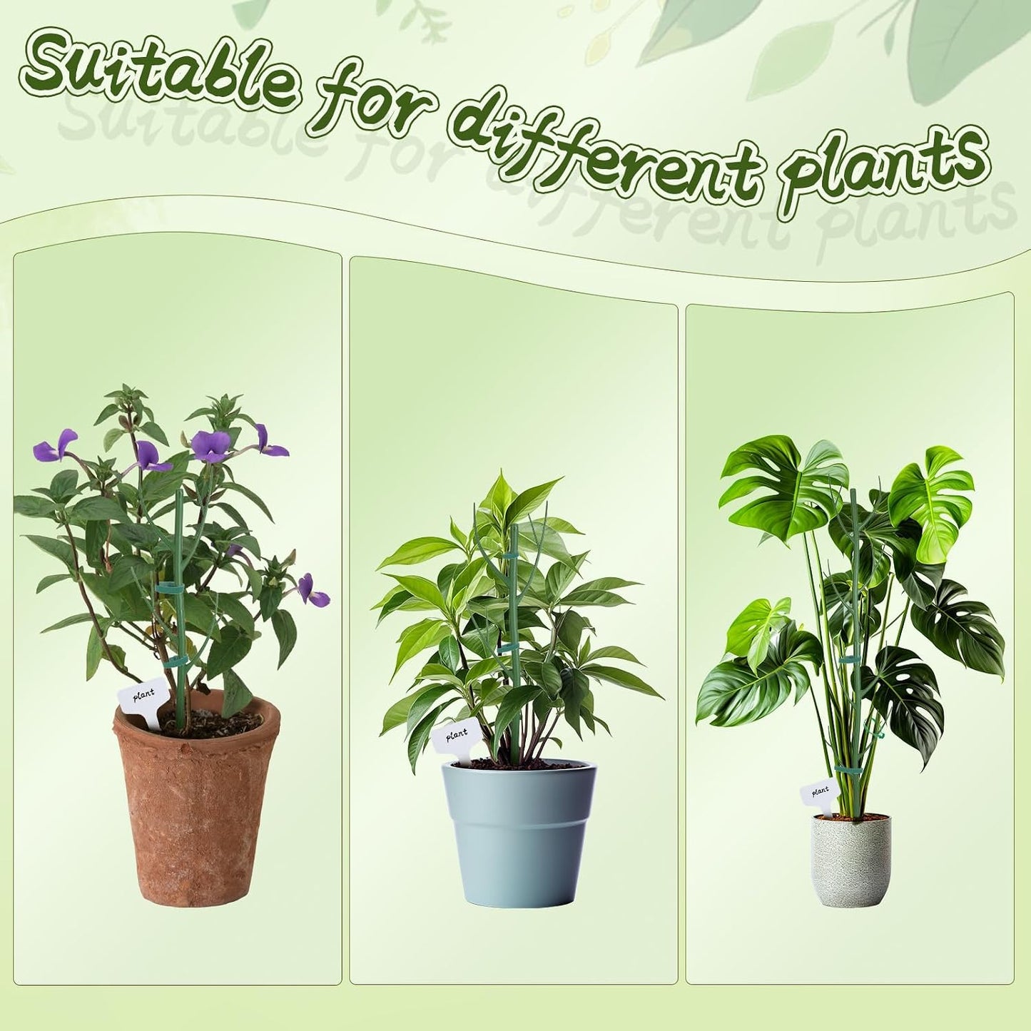 5 Pack Stackable Monstera Support Twig Plant Stakes, Plant Support Stakes for Indoor Outdoor Plants Holder Sticks for Climbing Plants Monstera Pothos Philodendron