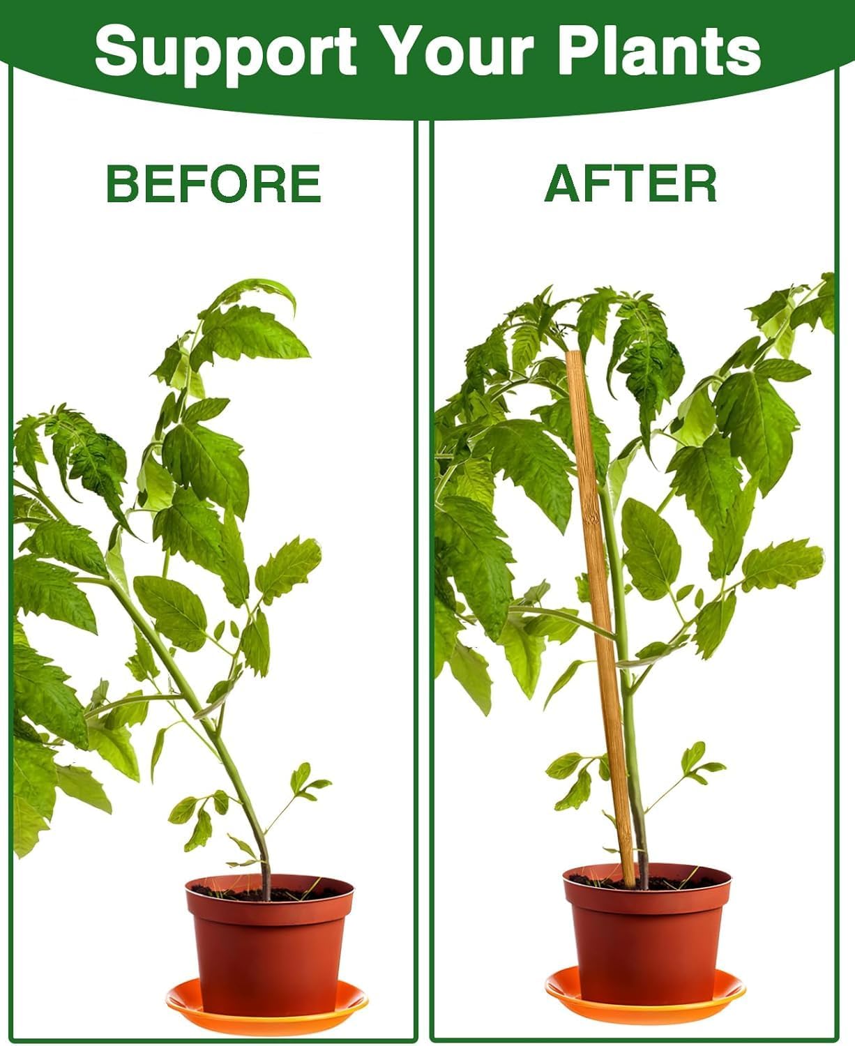12 Pack 17.5 Inch Plant Stakes for Indoor Plants,Bamboo Sticks for Plants Bamboo Poles Plant Support Stakes Garden Supplies Tomato Trellis for Outdoor Plants