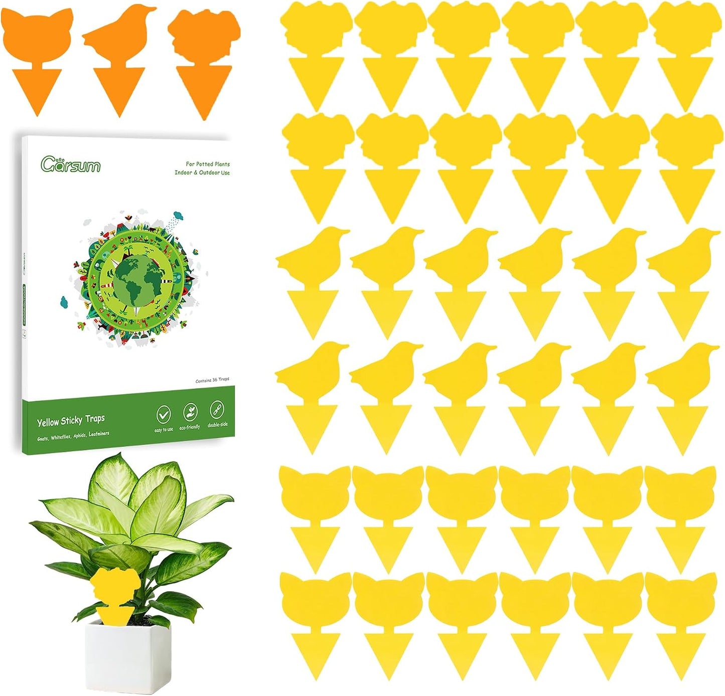 Garsum 36 Pack Fungus Gnat Traps Sticky Fruit Fly Trap Killer for Kitchen Indoor and Outdoor, Insect Fly Traps for House Plants, Whitefly, Mosquito Bits, Flying Insects