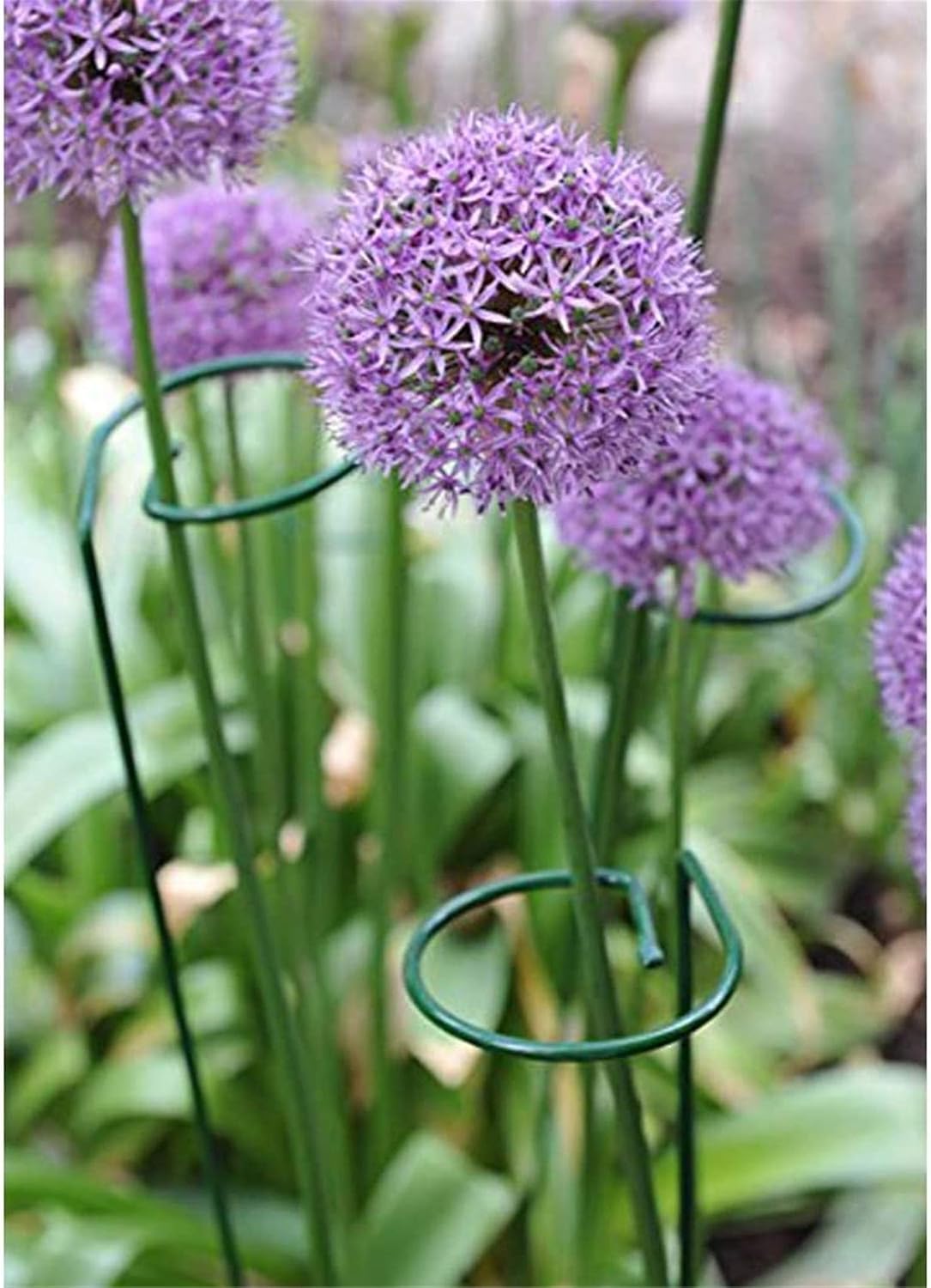 24 Inches Single Stem Plant Support Stakes Steel Garden Stakes Plant Atem Support, Pack of 20