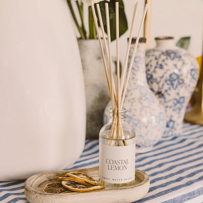 Sweet Water Decor Salt & Sea Reed Diffuser Set - Sea Salt Citrus & Musk Amber Scent Diffuser - Reed Diffusers for Home with Long Lasting Fragrance - Non-Toxic Oil Reed Diffuser - Made in the USA
