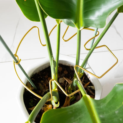 5PCS Monstera Plant Stem Support Stakes - 5.5 * 5.5IN Metal Supports for Monstera and Fishbone Cactus, Sturdy Frame, Easy Installation, Flexible Protection for Healthy Growth Indoors