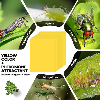 Qualirey 150 Pcs 6x8 Inch Yellow Sticky Traps for Gnats, Dual-Sided Sticky Gnat Traps for Indoor Outdoor Plants, Pest Control for Fungus Gnats, Fruit Flies, Whiteflies – Bulk Pack with Twist Ties
