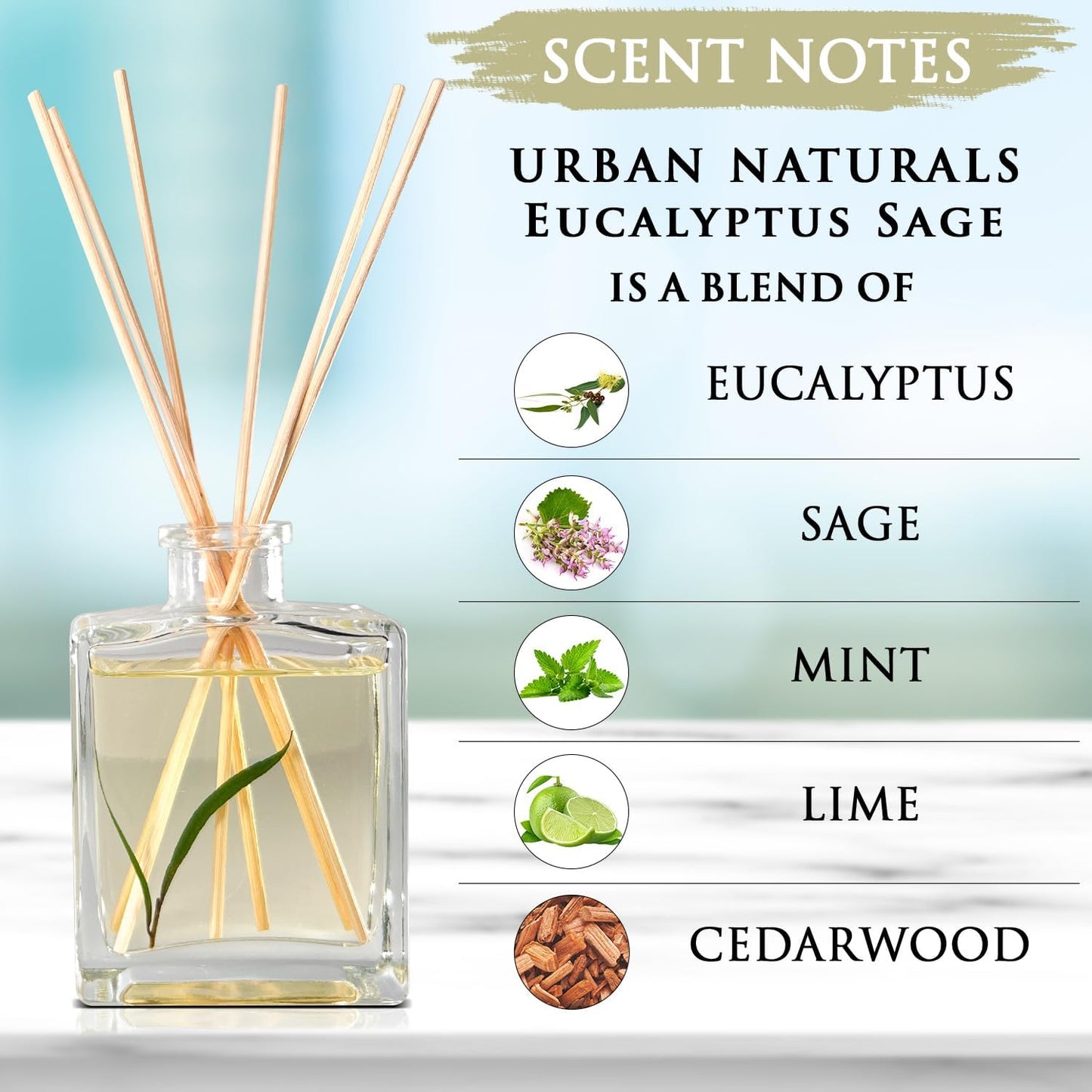 Urban Naturals Smoked Vanilla Reed Diffuser Set with Vanilla Bean, Sandalwood & Leather – 5 Ounce Sleek Black Rectangular Refillable Glass Bottle – Made in the USA