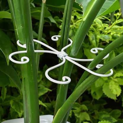 Yohsnor Monstera Plant Stem Support System - 5 Piece Set (5.5x4.7in) | Durable Plant Support Stakes for Climbing Plants & Fishbone Cactus | Ideal Leaf Stabilizer for Indoor Plants & Monstera Care