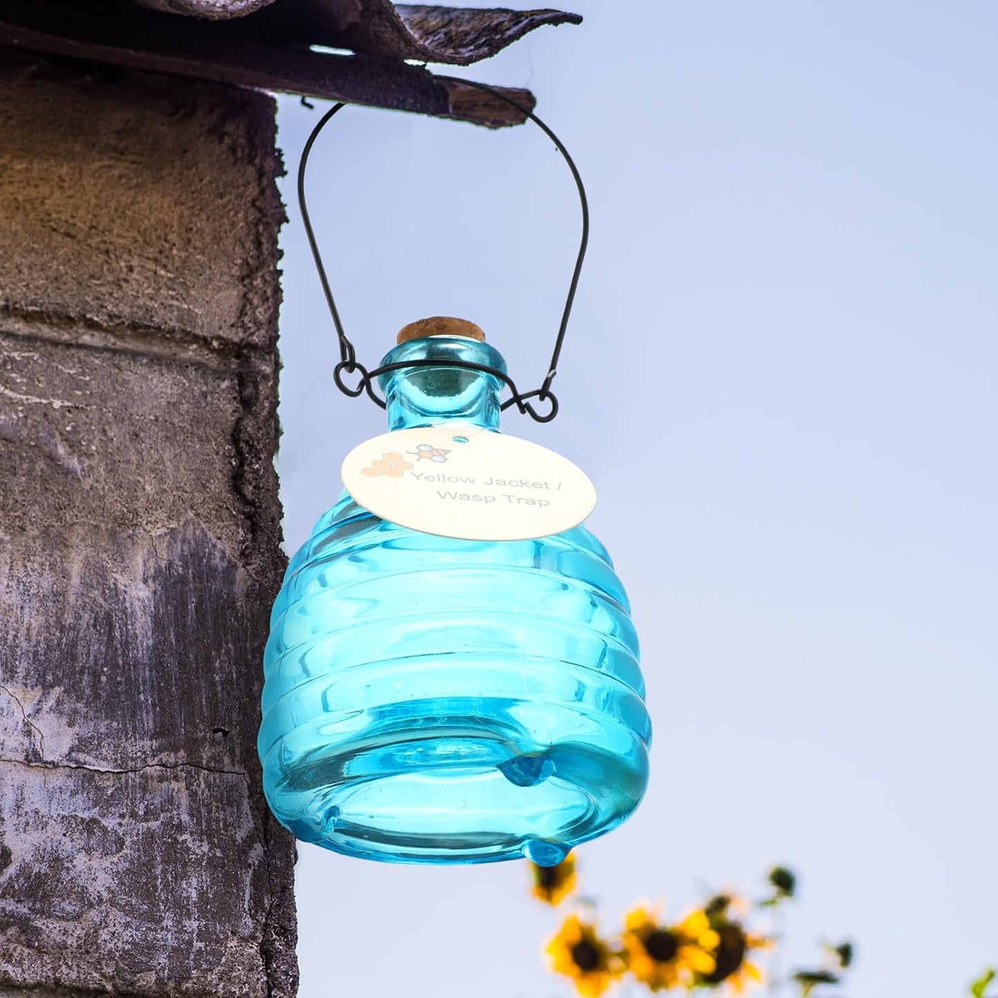2 Pieces Glass Wasp Trap Outdoor Hanging Reusable Wasp Traps with Steel Hooks Yellow Jacket Catchers Trap for Outside Garden Farm Courtyard Garden, Blue