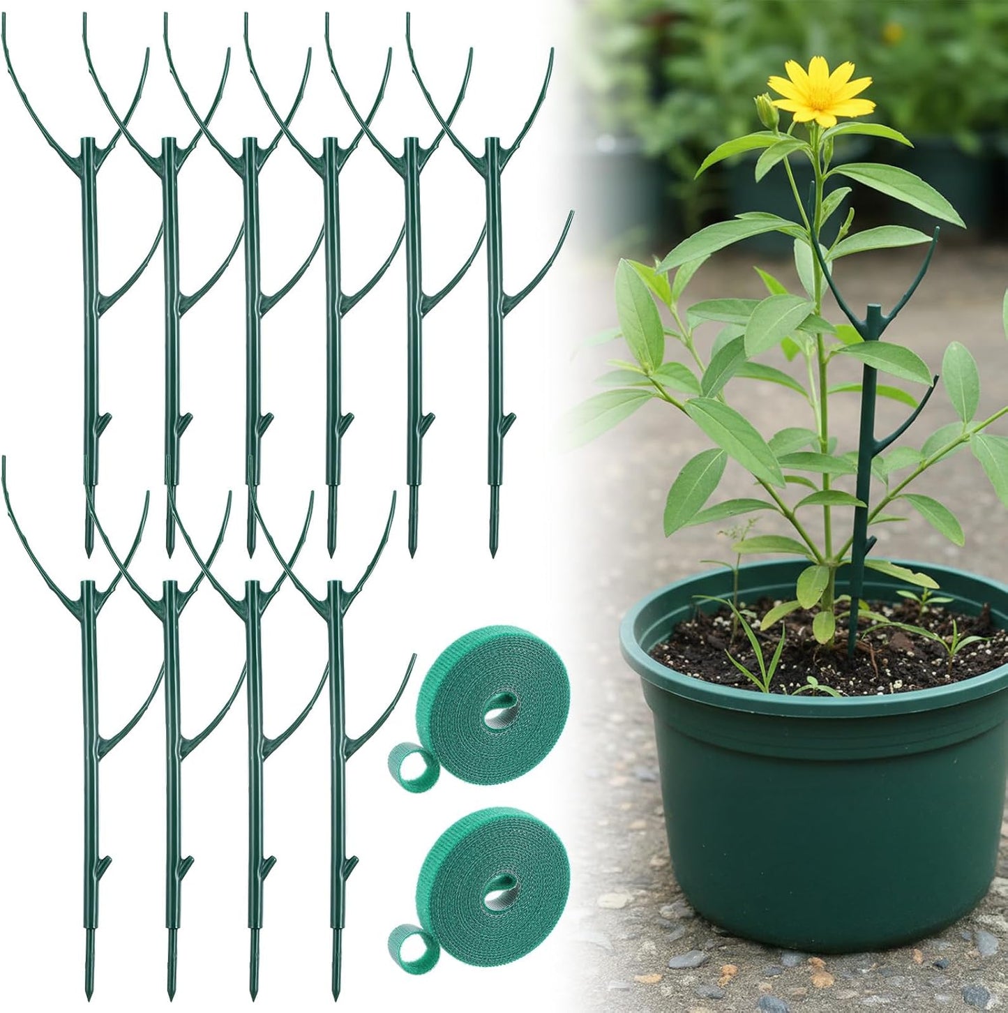 Grevosea 5 Pack Plant Support Stakes, Stackable Monstera Plant Supports for Indoor Outdoor Plants Garden Stakes Trellis for Climbing and Potted Plants Pothos Flowers