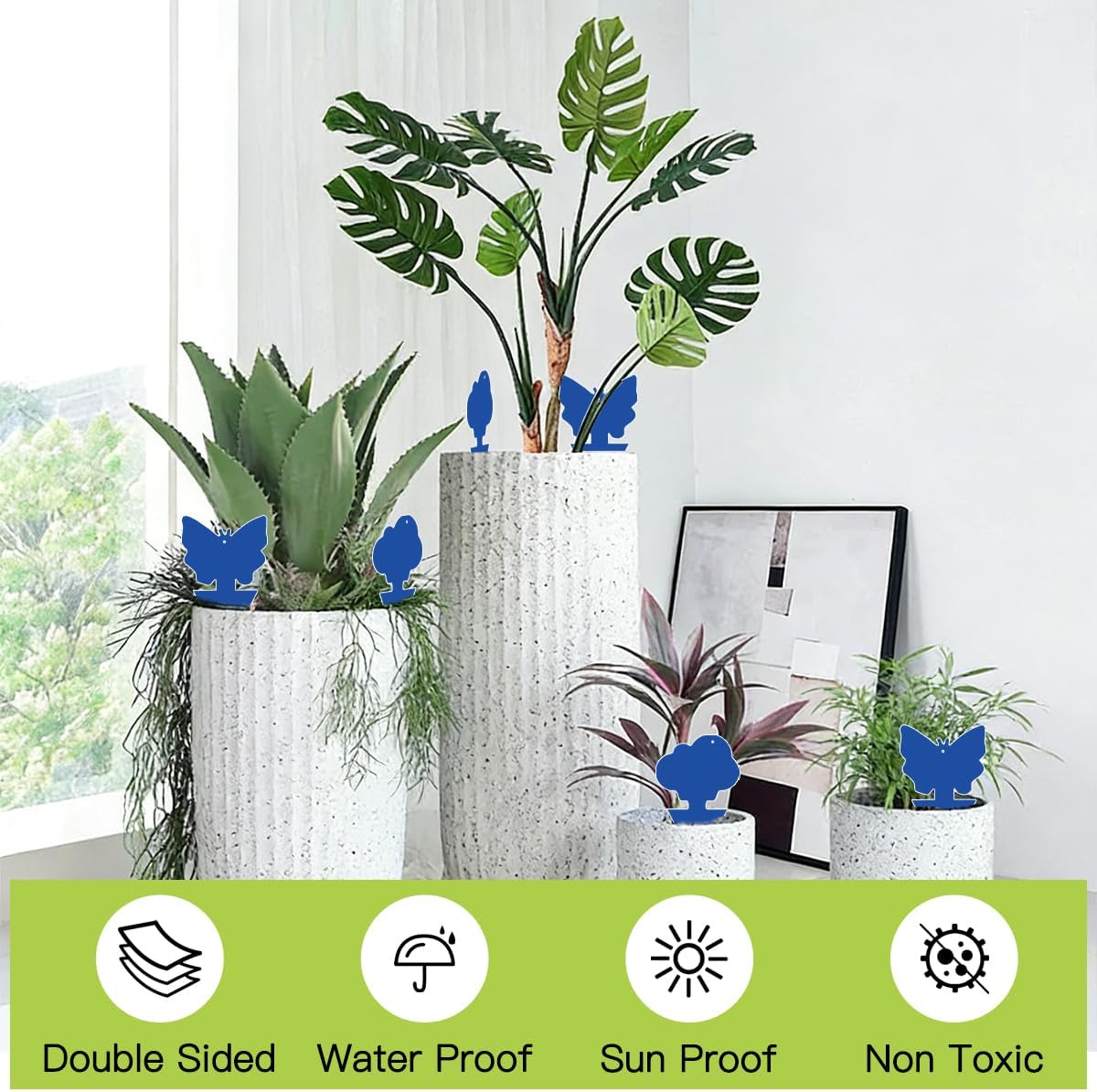 36 Pcs Sticky Traps for Fungus Gnat, Fruit Fly, Whitefly, Yellow | Indoor/Outdoor Use, For Plants & Kitchen, High-End Glue, Insect Catcher