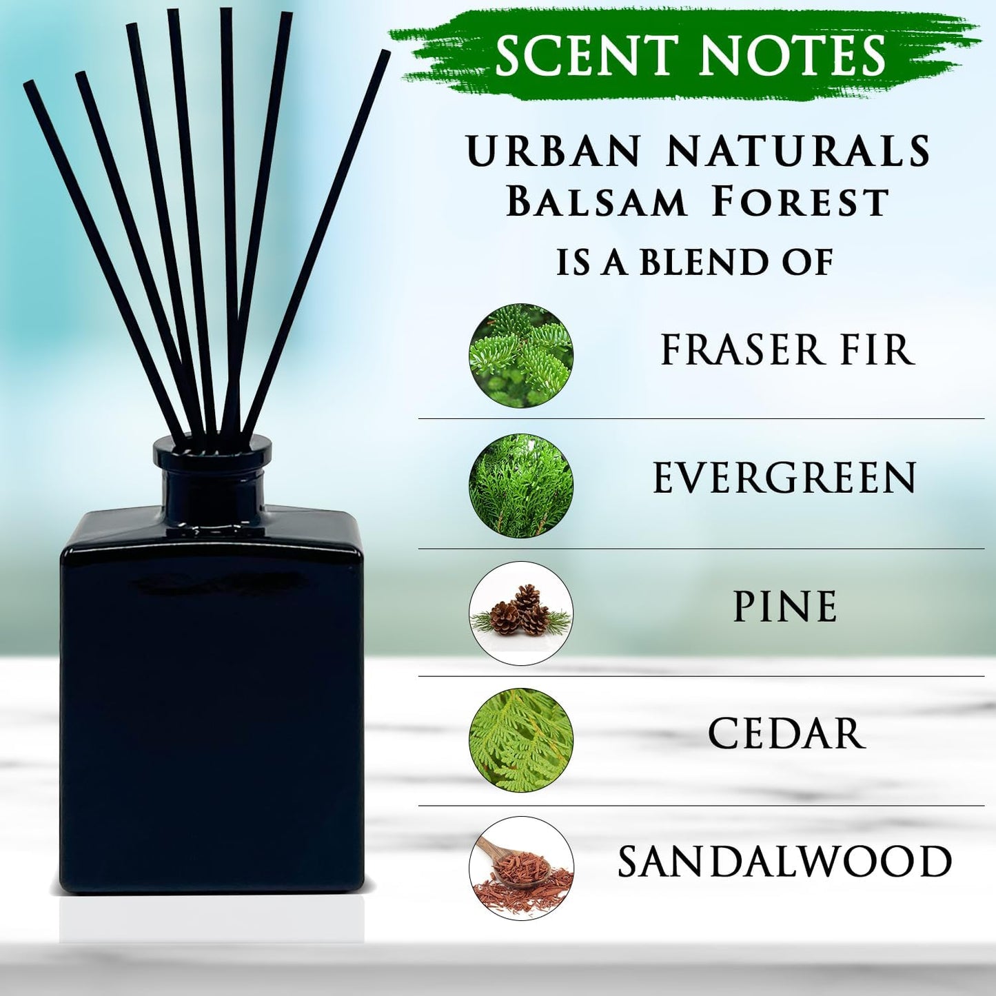 Urban Naturals Smoked Vanilla Reed Diffuser Set with Vanilla Bean, Sandalwood & Leather – 5 Ounce Sleek Black Rectangular Refillable Glass Bottle – Made in the USA