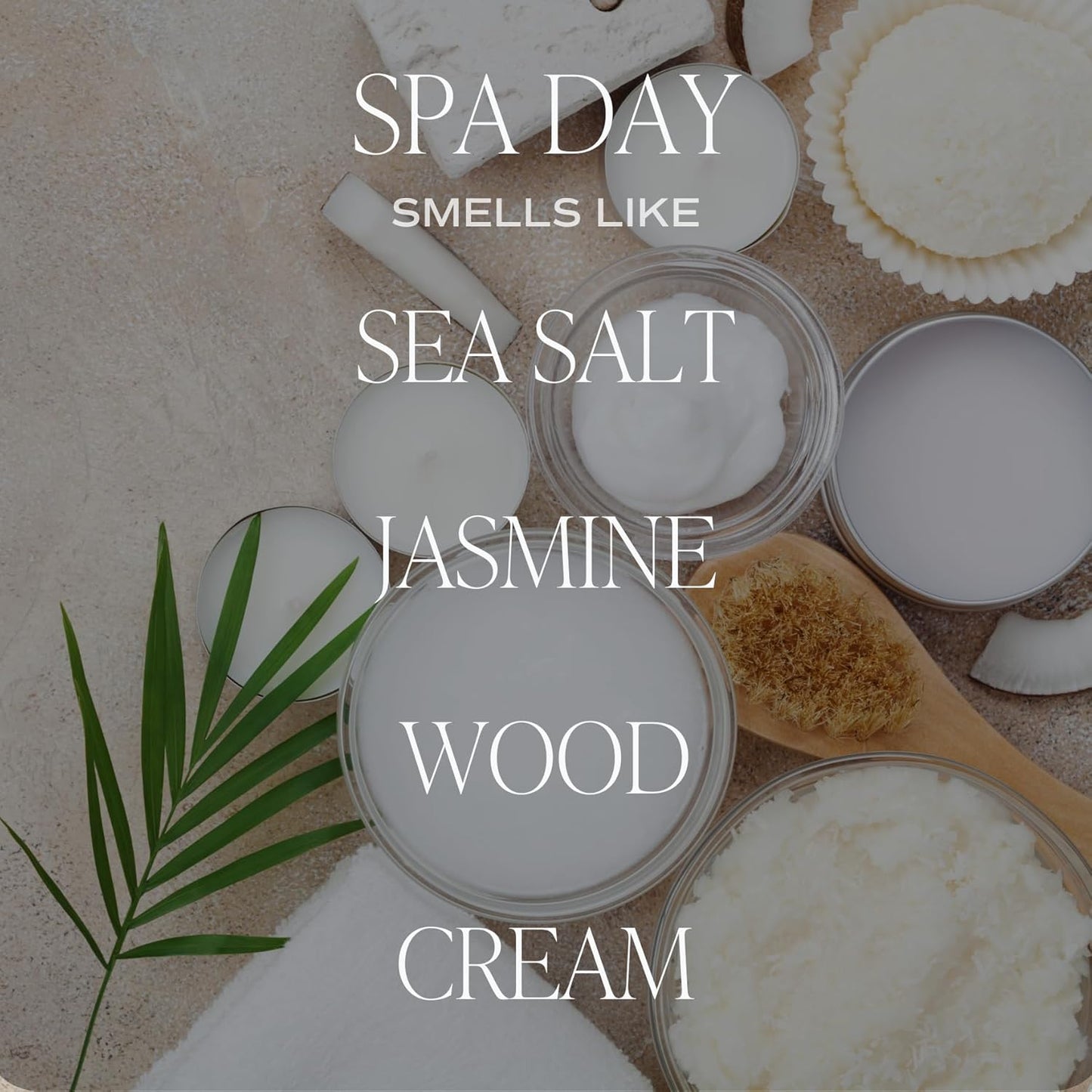 Sweet Water Decor Salt & Sea Reed Diffuser Set - Sea Salt Citrus & Musk Amber Scent Diffuser - Reed Diffusers for Home with Long Lasting Fragrance - Non-Toxic Oil Reed Diffuser - Made in the USA