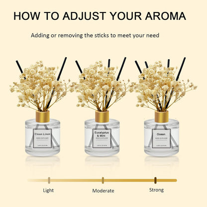 Reed Diffuser Set of 3 Pack,Clean Linen,Eucalyptus & Mint,Ocean Scented Oil Diffuser with 4 Sticks,Reed Diffusers for Home,Living Room,Bathroom Air Freshener Diffuser,50ml x 3