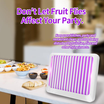 Fruit Fly Traps for Indoors - Indoor Fly Trap, Plug-in Bug Light Catcher with UV and Blue Light,Gnats, Mosquitoes, Flies, Moths,House Flies - Fly Traps Indoor for Home-400 Sq Ft of Protection