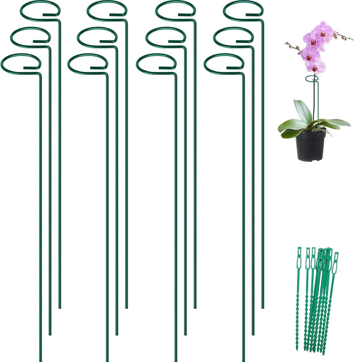 FEED GARDEN 16 Inch 12 Pack Plant Support Stakes, Metal Garden Flower Stakes and Supports for Outdoor Plants, Plant Stem Support with 24 Twist Ties for Amaryllis Lily Rose Peony Tomatoes Gladiolus