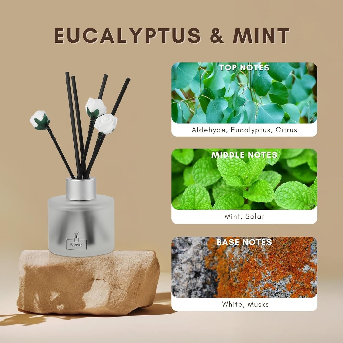 Brakula 2 Pack Reed Diffuser Set, Lavender Eucalyptus Scented, Home Fragrance with 14 Sticks Bathroom Decor, Reed diffusers for Home 6.76 fl oz (Lavender Eucalyptus)