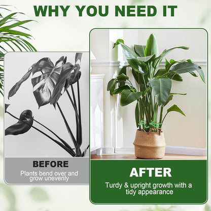 16pcs Plant Stem Support, Plant Support for Indoor Plants, 4 Sizes Climbing Houseplant Stem Holders, Reusable Plant Stabilizer, Indoor Plants Accessories