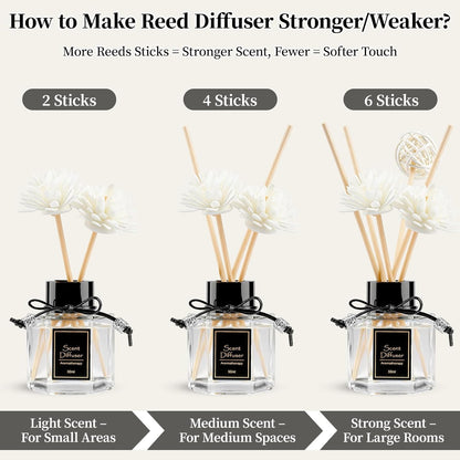 TonJin Reed Diffuser Set of 2 | 1.7 fl oz Natural Home Fragrance with Sticks | Long-Lasting Scented Sticks for Bathroom, Living Room & Bedroom | Non-Toxic Essential Oil Air Freshener Shangri-La