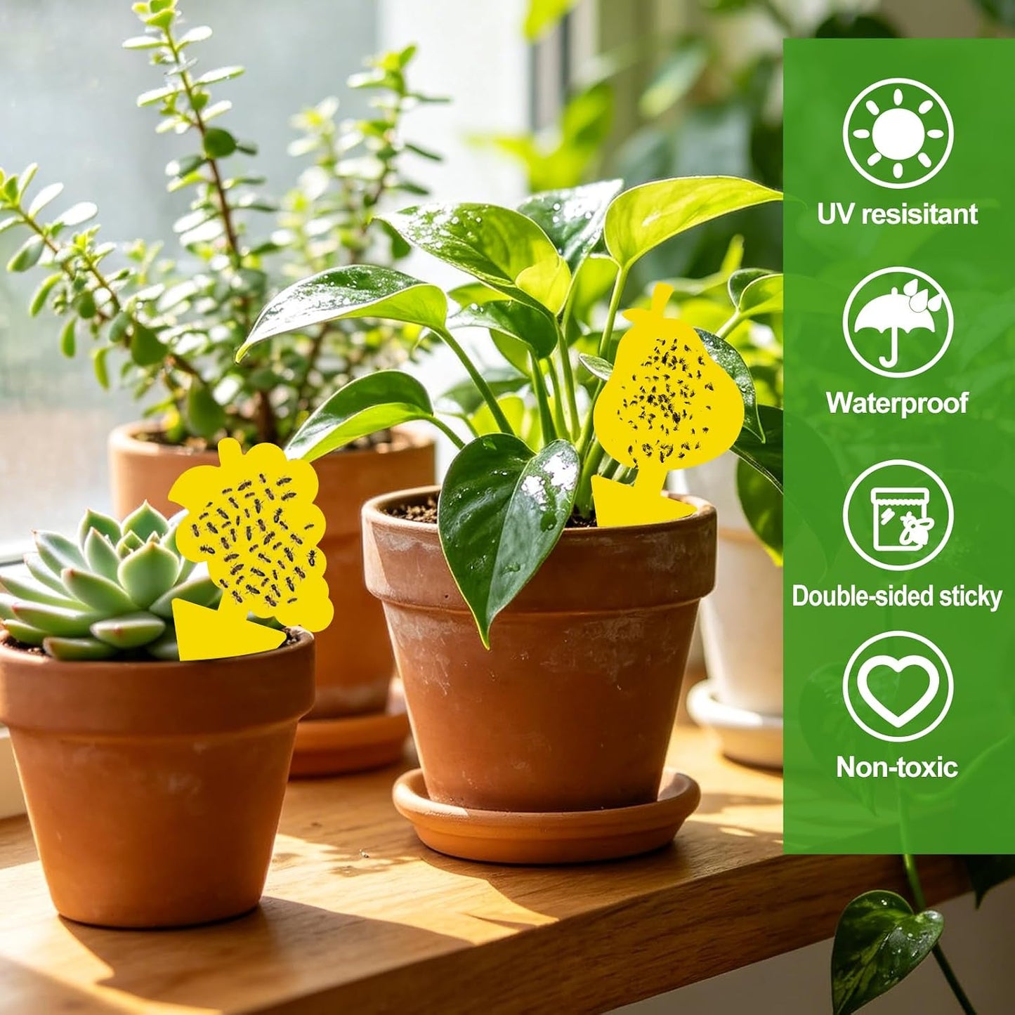 Yellow Sticky Traps for Plant Gnats, 50 Pack Fungus Gnat Trap, Effective Sticky Gnat Traps for Indoor and Outdoor Plants