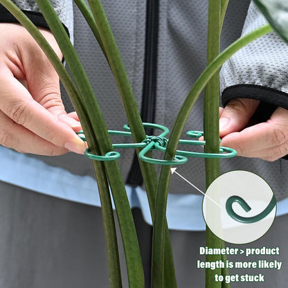 Yohsnor Monstera Plant Stem Support System - 5 Piece Set (5.5x4.7in) | Durable Plant Support Stakes for Climbing Plants & Fishbone Cactus | Ideal Leaf Stabilizer for Indoor Plants & Monstera Care