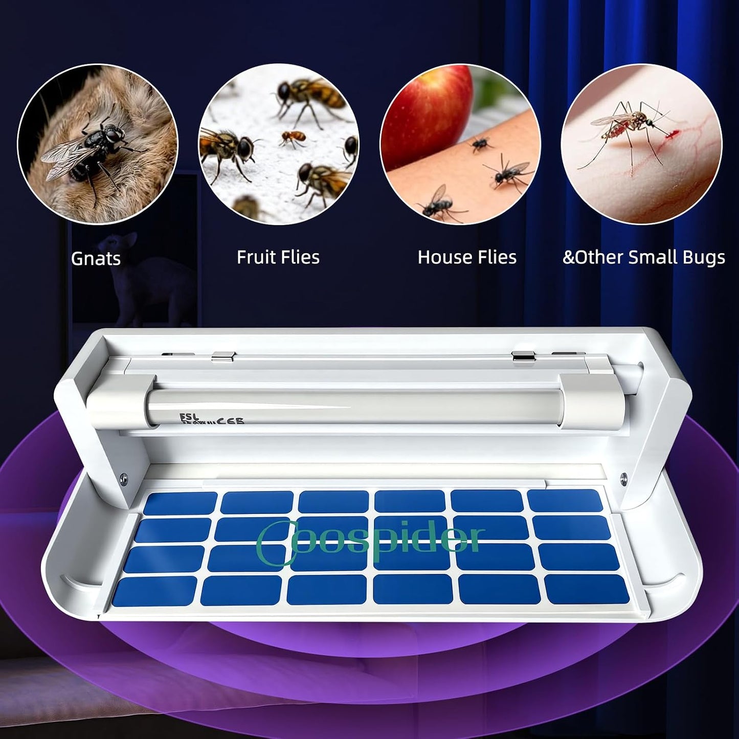 2 Pack UV Fruit Fly & Gnat Trap Indoor, Fungus Gnat Trap for Houseplants, Wall-Mounted Fly Light Trap with 10 Sticky Glue Boards, Quiet No-Zap Bug Catcher for Kitchen, Living Room, Bedroom