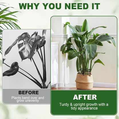 16pcs Plant Stem Support, Plant Support for Indoor Plants, 4 Sizes Climbing Houseplant Stem Holders, Reusable Plant Stabilizer, Indoor Plants Accessories