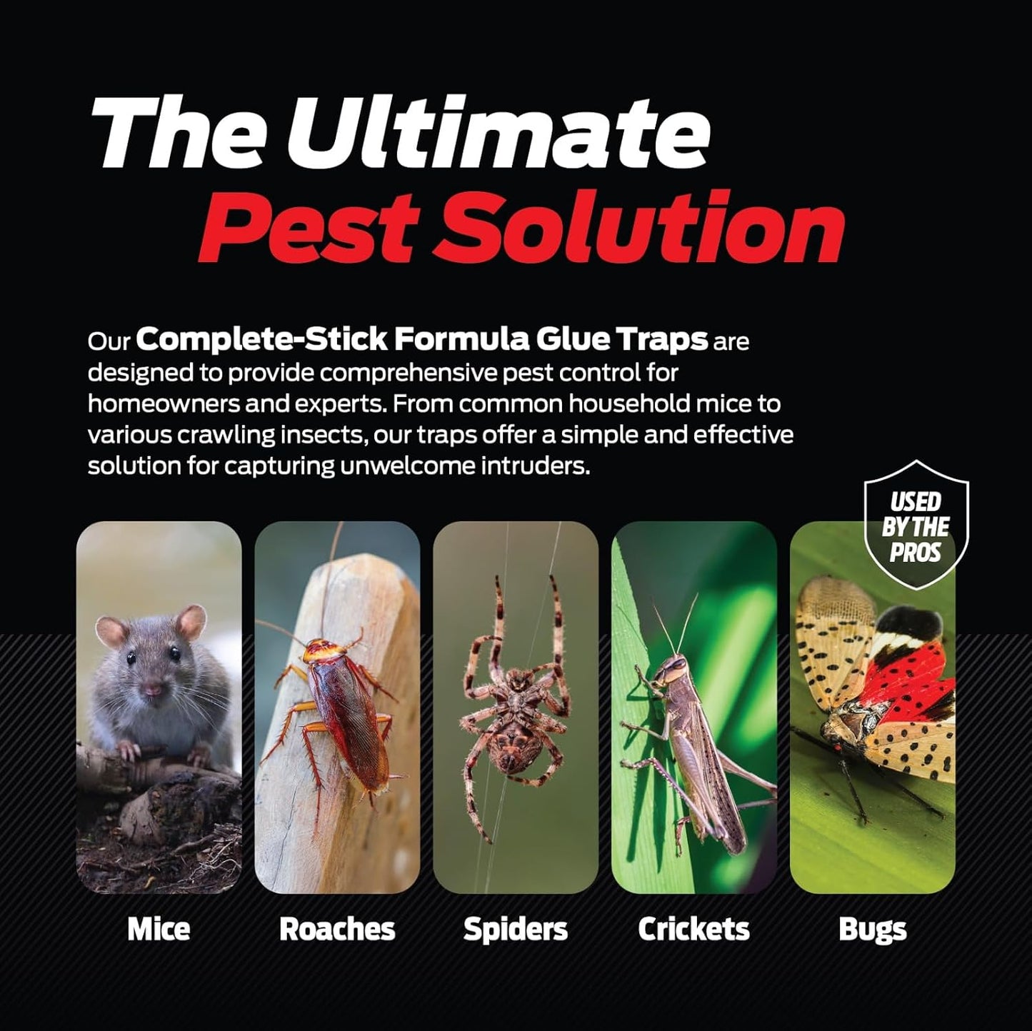 Glue Traps for Mice & Bugs – Safe Around Children & Pets – Strong Adhesive Glue for Bugs, Insects & Cockroaches – Easy to Use & Clean – Sticky Glue Traps for Indoor Use (12 Pack)