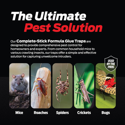 Glue Traps for Mice & Bugs – Safe Around Children & Pets – Strong Adhesive Glue for Bugs, Insects & Cockroaches – Easy to Use & Clean – Sticky Glue Traps for Indoor Use (12 Pack)