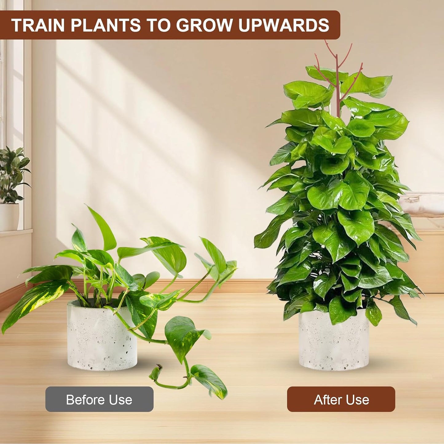 PERSZEN 6 Pack Stackable Monstera Plant Support, Plant Stakes for Indoor and Outdoor Plants Use, Garden Stakes for Climbing and Potted Plants, Pothos, Philodendron