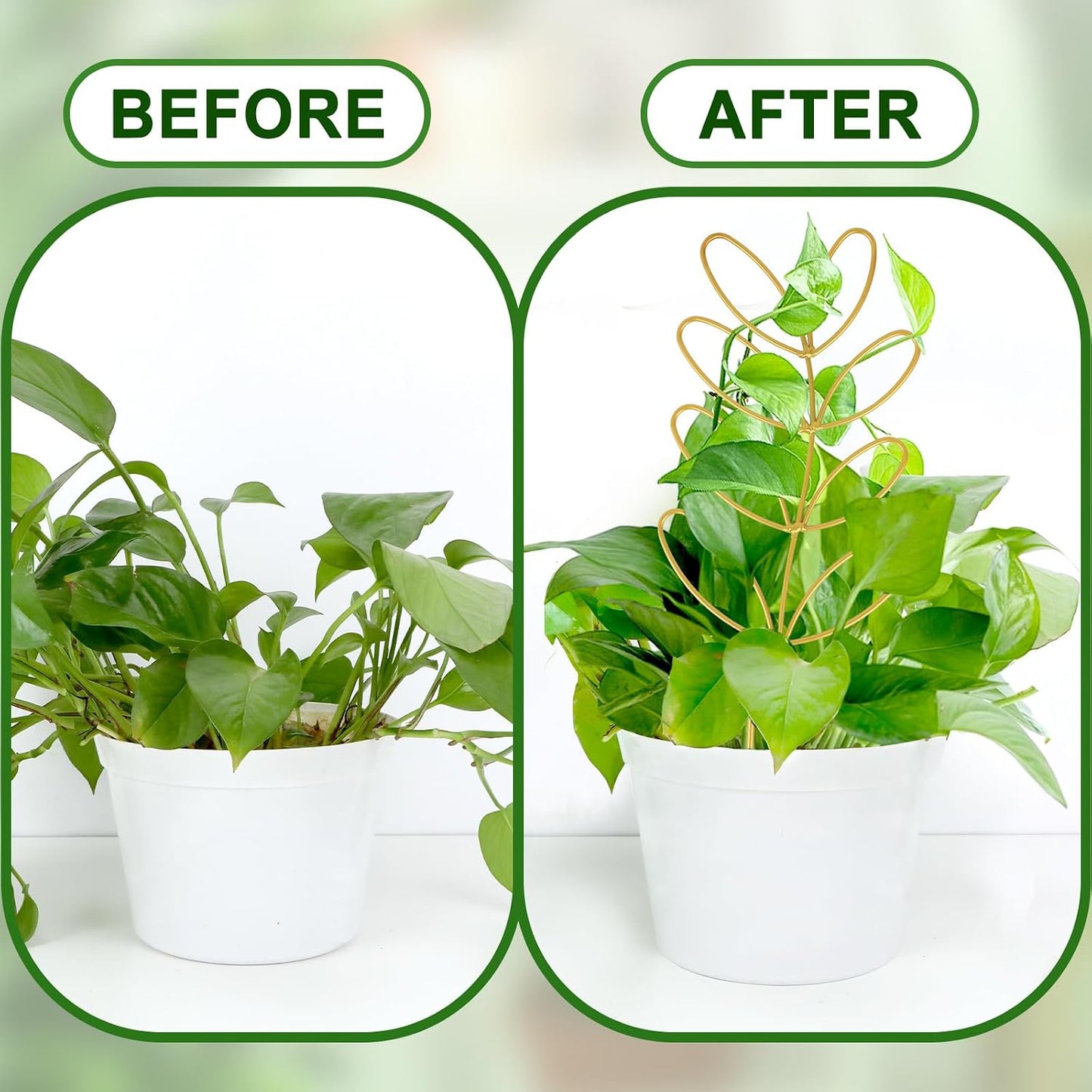 AUGSUN 2 Packs Plant Trellis Garden Trellis Plant Stakes Trellis | for Climbing Plants, Indoor Plants Metal Leaf Shape, Plant Support for Houseplants, with 50 Ties Plant Lover Gift (Green)