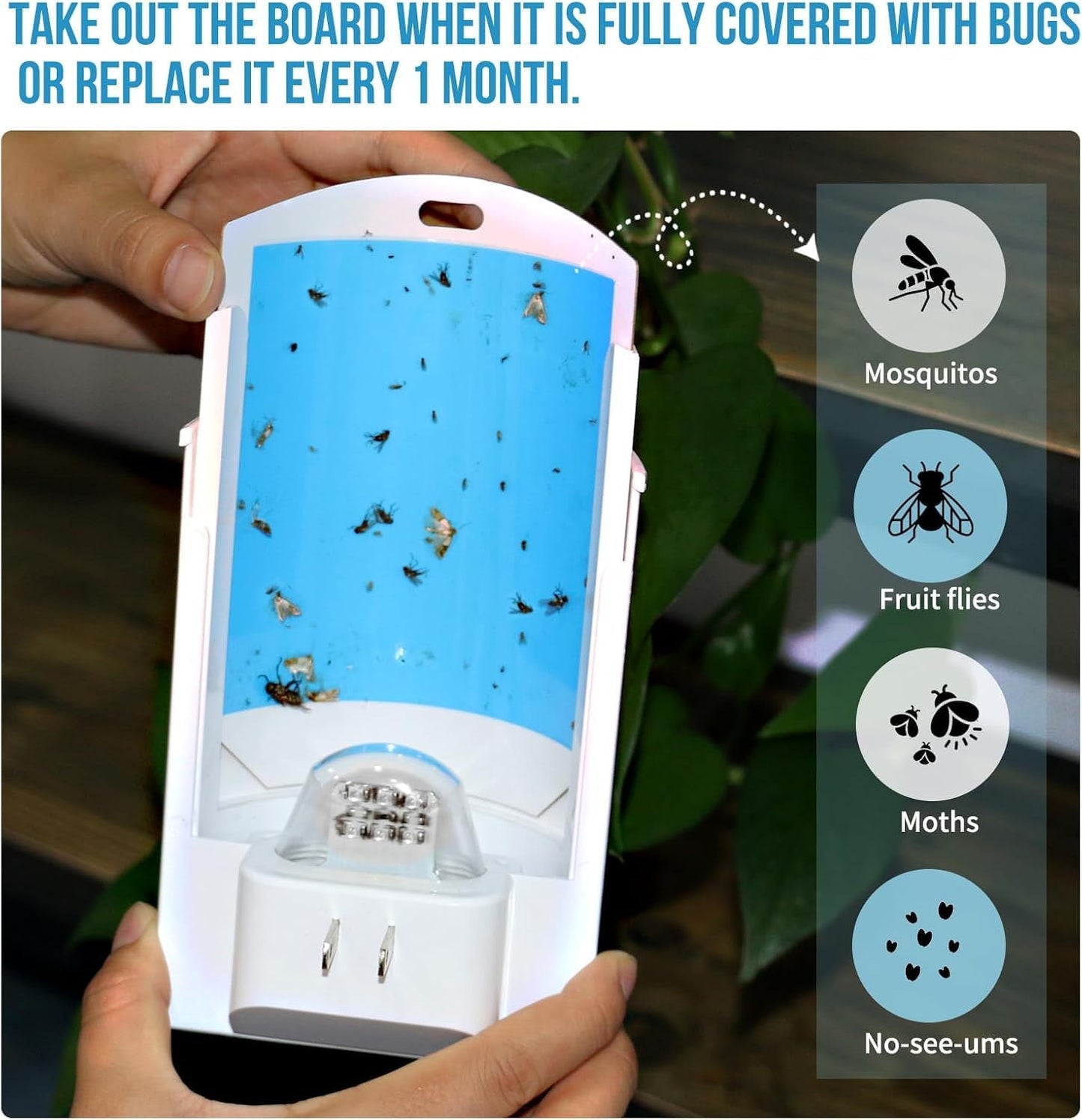 Flying Insect Trap, 2 Devices Fruit Fly Traps for Indoors with 8 Sticky Boards, Gnat Traps for House Indoor Fly Catcher with Blue UV Light, Mosquito Moth Bug Catcher for Home, Kitchen(2026 Upgrade)
