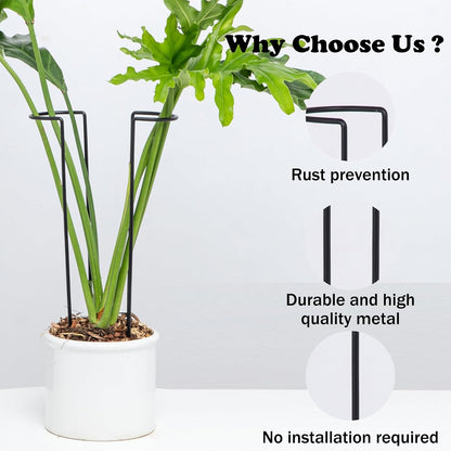 10 Pack Indoor Plant Support for Monstera Trellis Stakes and Stem Holder - Perfect for Small Indoor Plants, Desktop Gardens & Flower Shelf Use, Easy to Set Up and Efficient Support