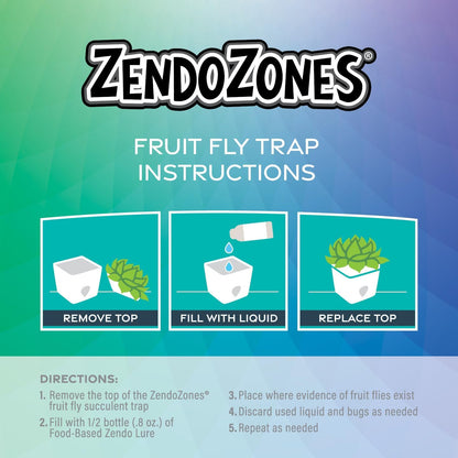 ZendoZones Succulent Fruit Fly Trap – Dark Green Design with Terracotta Base – Eco-Friendly Indoor Fruit Fly Control – Easy-to-Use Decorative Trap | Eco-Friendly Lure; Decorative Dark Green Succulent Design; Refillable; Terra Cotta Base; Easy to Use