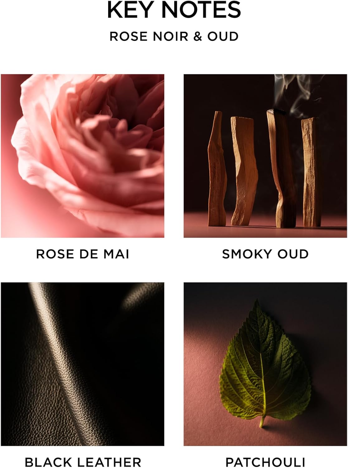 NEST New York Reed Diffuser, Moroccan Amber - 5.9 fl oz - Fragrance for Up to 90 Days - Reusable, Refillable Glass Holder - Includes 8 All-Natural Reed Sticks - Flame Free