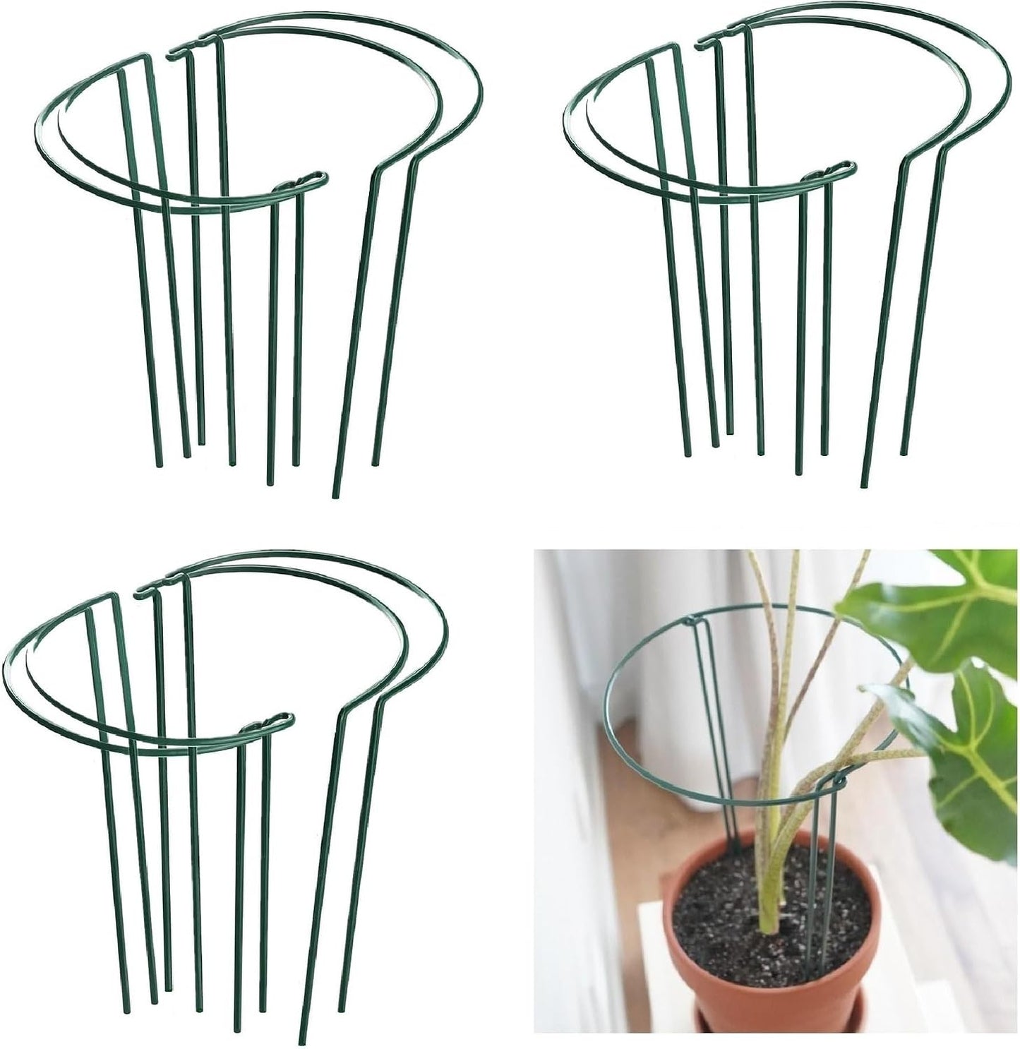 6 Pack 15.8 Inch High Plant Stake,Garden Plant Support,Half-Round Peony Cage Plant Ring Hoop