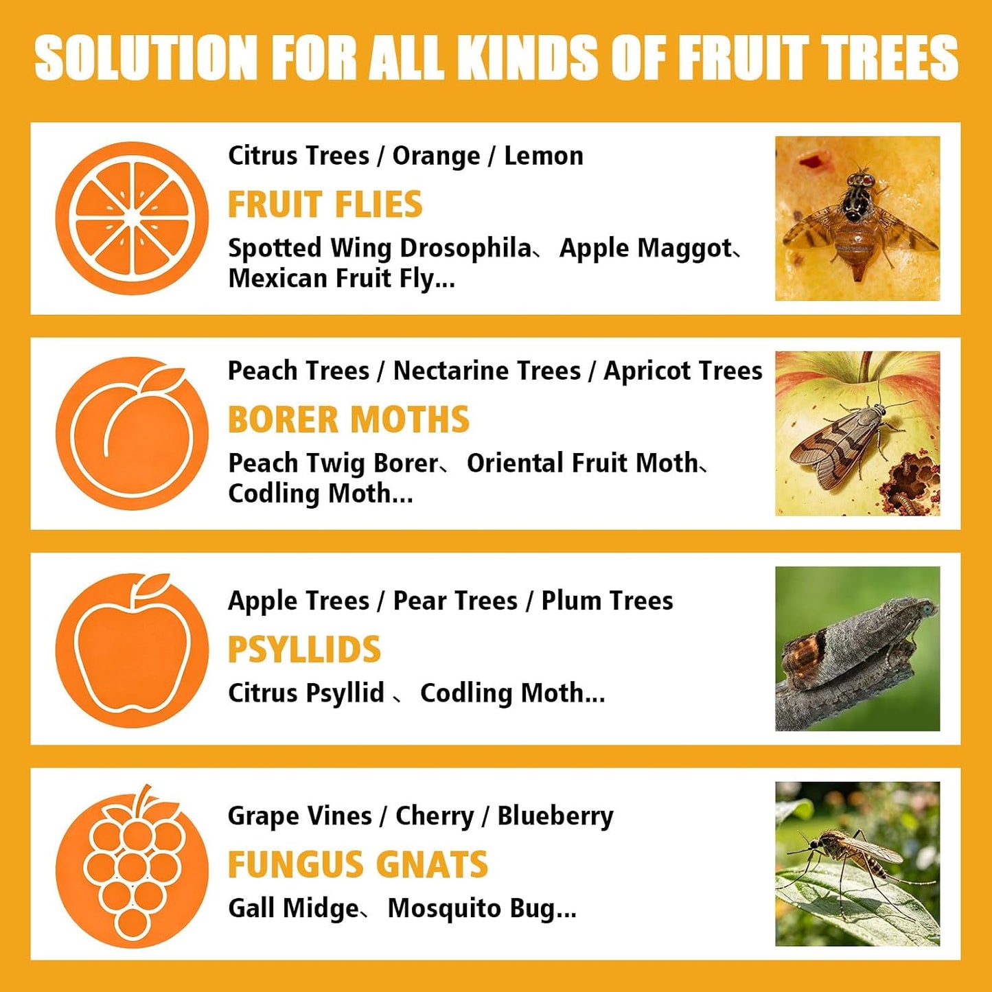 Sticky Insect Trap Ball Osseph Fruit Fly Trap Balls for Indoor Outdoor | Physical Sticky Hanging Bug Ball Catches Flie Gnat Mosquitoe Flying Insects 6pack (Green)