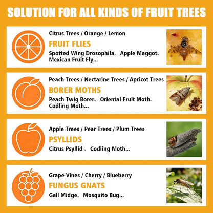 Sticky Insect Trap Ball Osseph Fruit Fly Trap Balls for Indoor Outdoor | Physical Sticky Hanging Bug Ball Catches Flie Gnat Mosquitoe Flying Insects 6pack (Green)