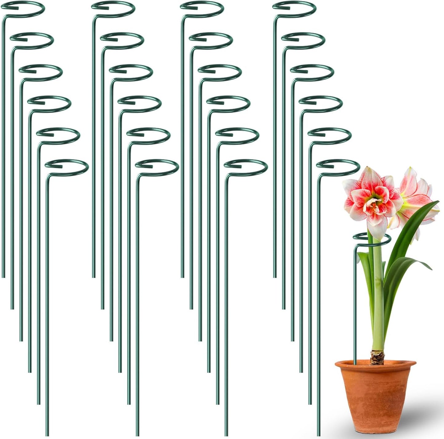 Fabulas 24 Pack Plant Support Stakes, 16 Inch Metal Garden Plant Stakes Single Stem Support Rings for Indoor Outdoor Amaryllis, Flowers Orchid, Lily, Peony, Rose, Tomato, Monstera, Narcissus