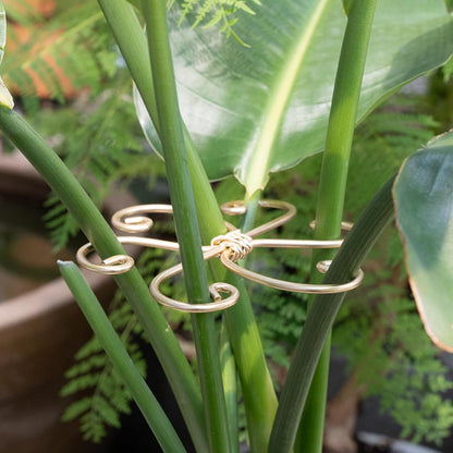 Yohsnor Monstera Plant Stem Support System - 5 Piece Set (5.5x4.7in) | Durable Plant Support Stakes for Climbing Plants & Fishbone Cactus | Ideal Leaf Stabilizer for Indoor Plants & Monstera Care