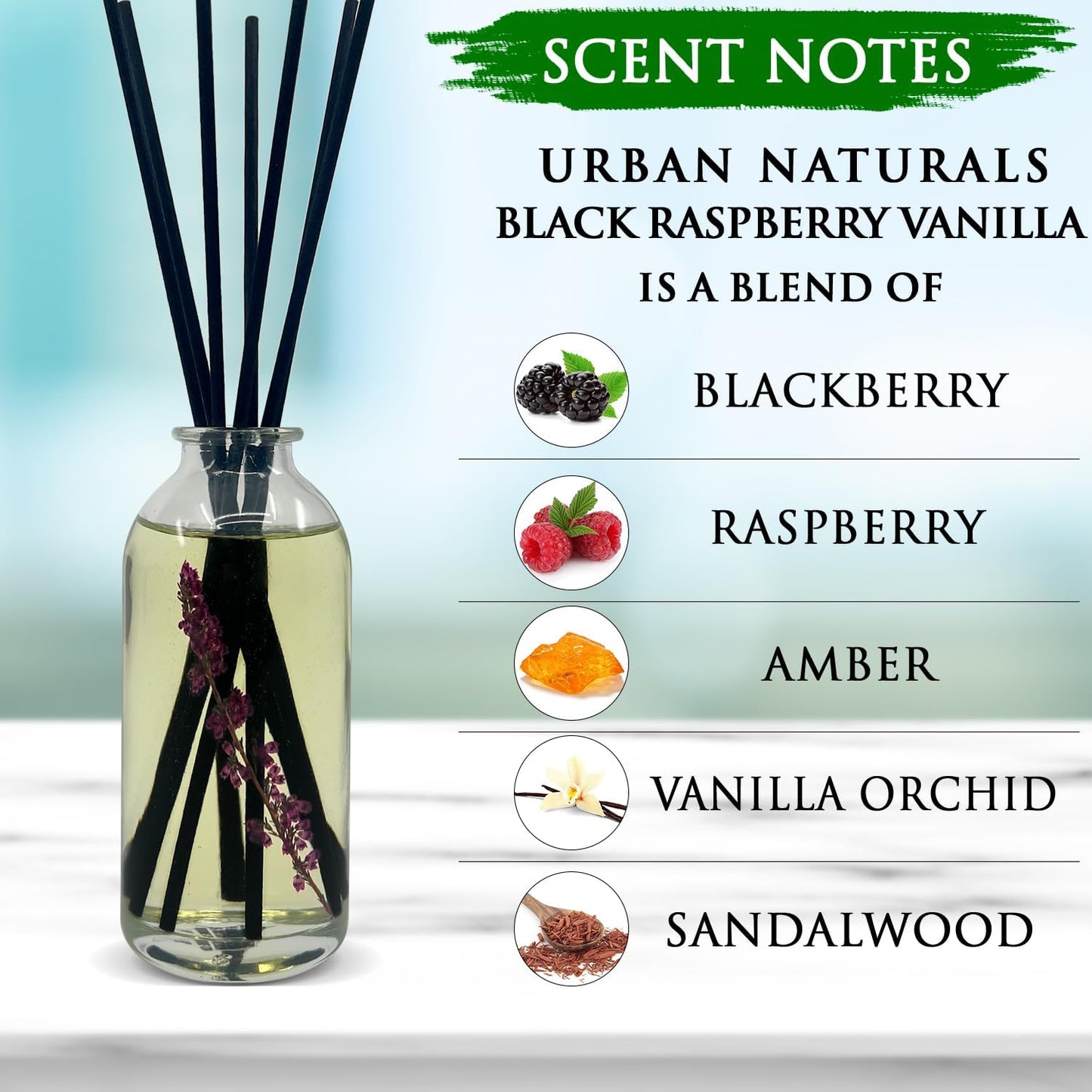 Urban Naturals Smoked Vanilla Reed Diffuser Set with Vanilla Bean, Sandalwood & Leather | Made in the USA - Colors C