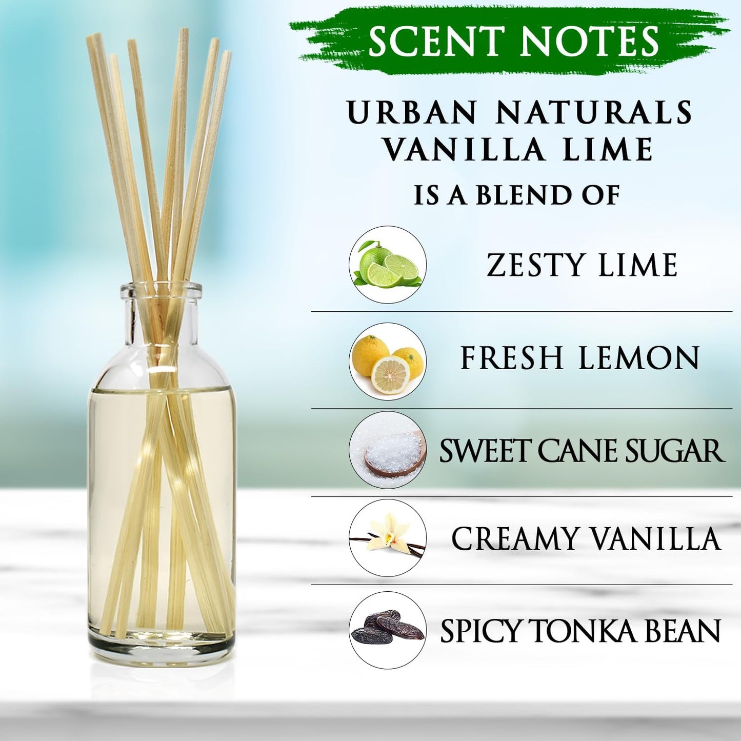 Urban Naturals Smoked Vanilla Reed Diffuser Set with Vanilla Bean, Sandalwood & Leather | Made in the USA - Colors C