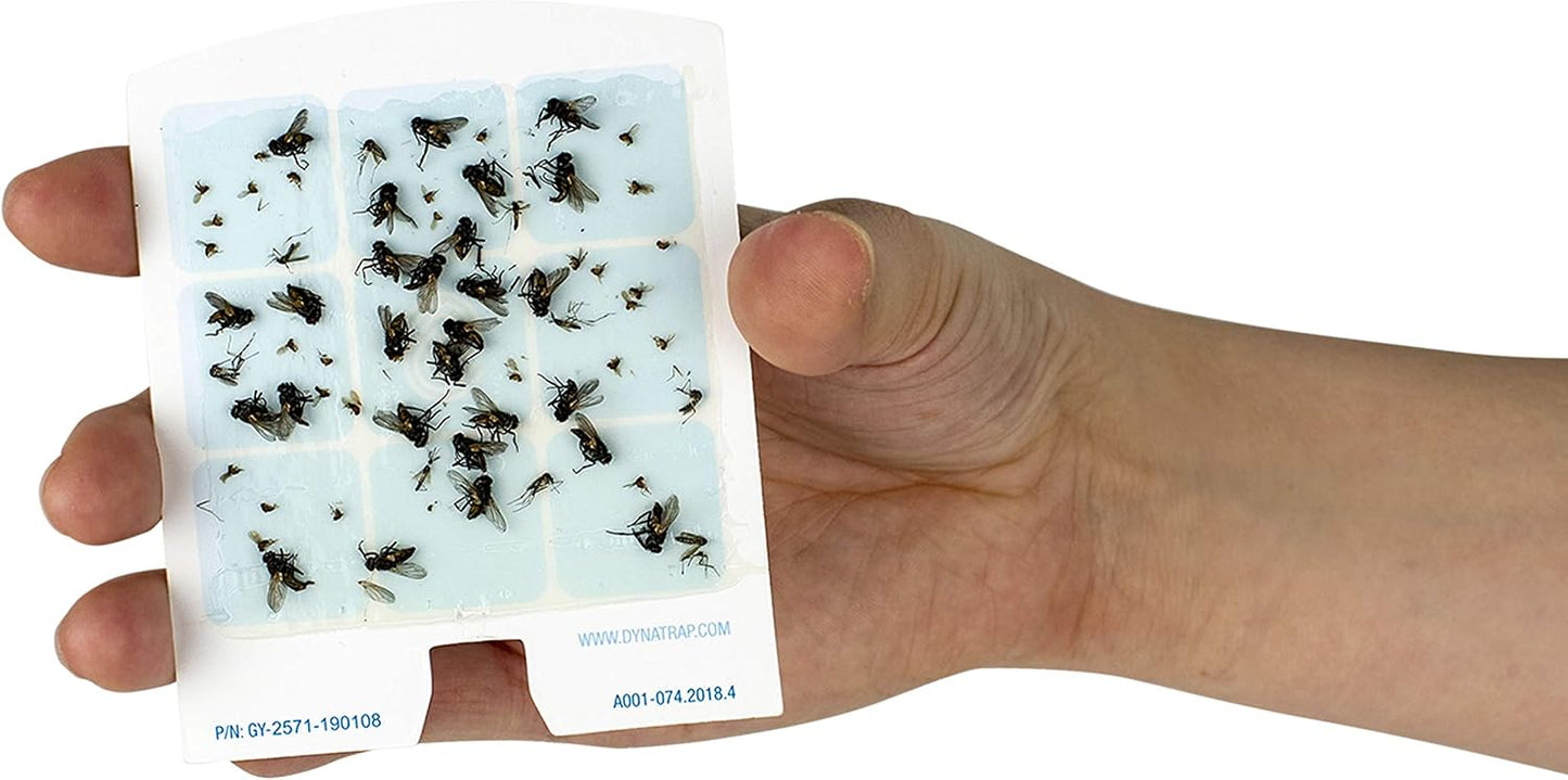 DynaTrap 23005-0612 DOT StickyTech Replacement Indoor Flying Insect Trap Glue Cards - 6 Pack