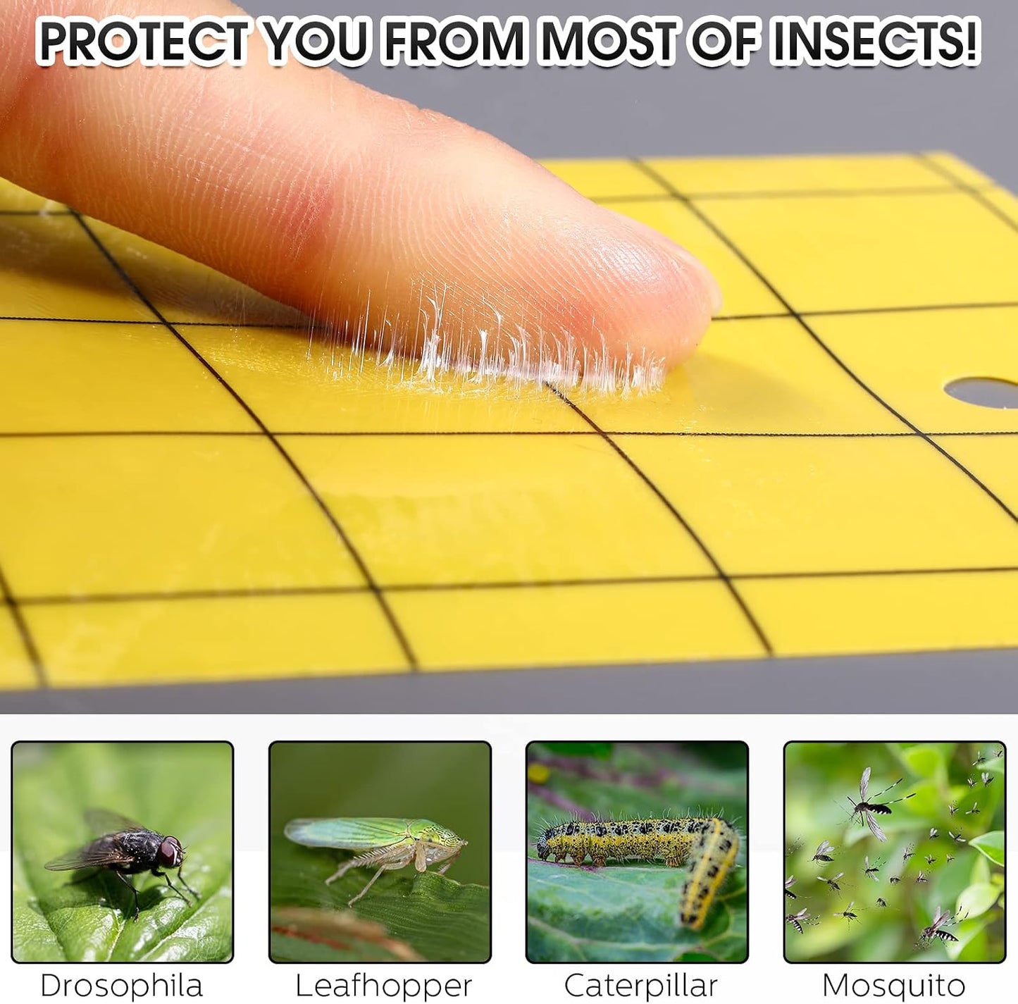 Qualirey 100 Sticky Trap for Gnats 3 x 5'' Dual Side Sticky Fruit Fly Trap with Tie Plant for Flying Insect Fungus Bugs Flying Catcher for Indoor (Dark Blue)