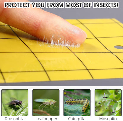 Qualirey 100 Sticky Trap for Gnats 3 x 5'' Dual Side Sticky Fruit Fly Trap with Tie Plant for Flying Insect Fungus Bugs Flying Catcher for Indoor (Dark Blue)